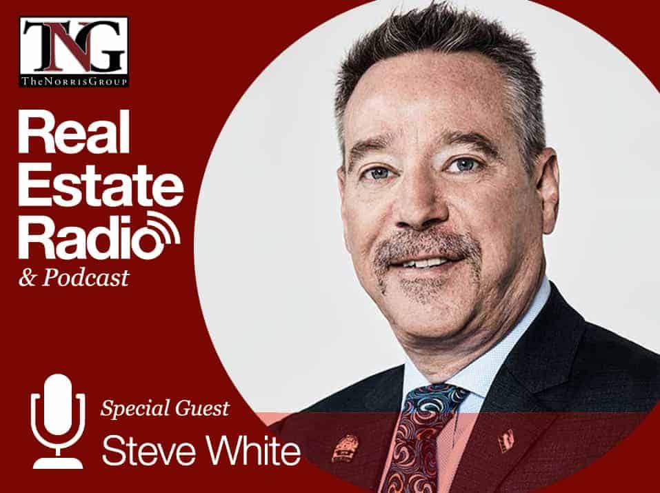 Steve White blog